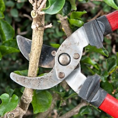 Garden & Forestry Hand Tools