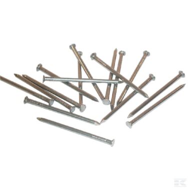 Nail 3.0x65 galvanised 450g