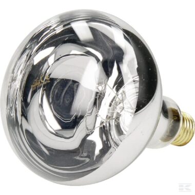 Infared light, 150W, white, Farma