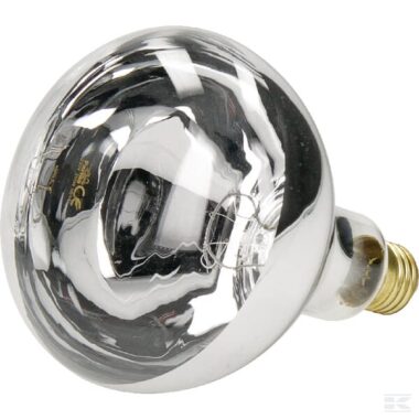 Infared light, 250W, white, Farma