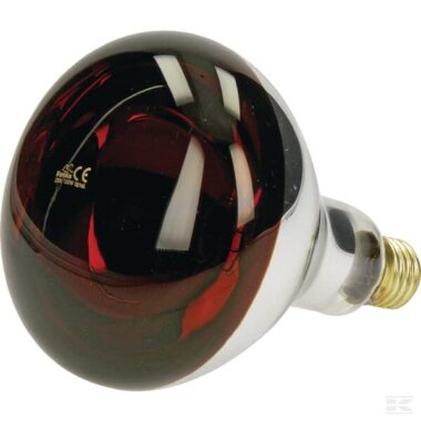 Infared light, 150W, 230V, red, Farma