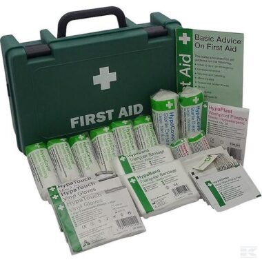 Economy 1-10 persons first aid kit HSE