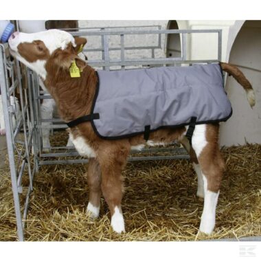 Calf blanket 80cm