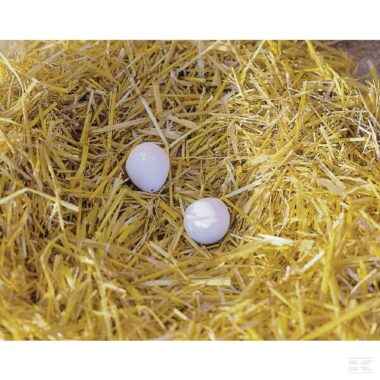 Nest eggs 2x